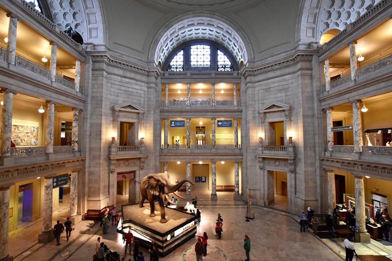 National Museum of Natural History - Top 12 Places to Visit in Washington DC: Discover Museums to Monuments