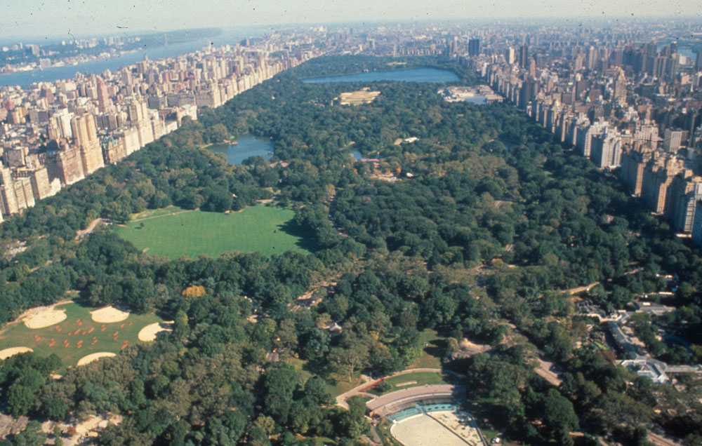 central park one of the must visit places in New York city