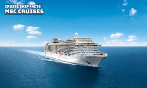 MSC Cruises Ship - MSC Cruises Ship Facts and Information