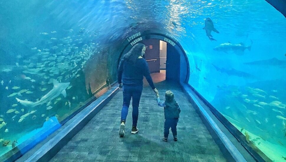 The Adventure Aquarium - Top 10 Most Popular Tourist Destinations in Philadelphia