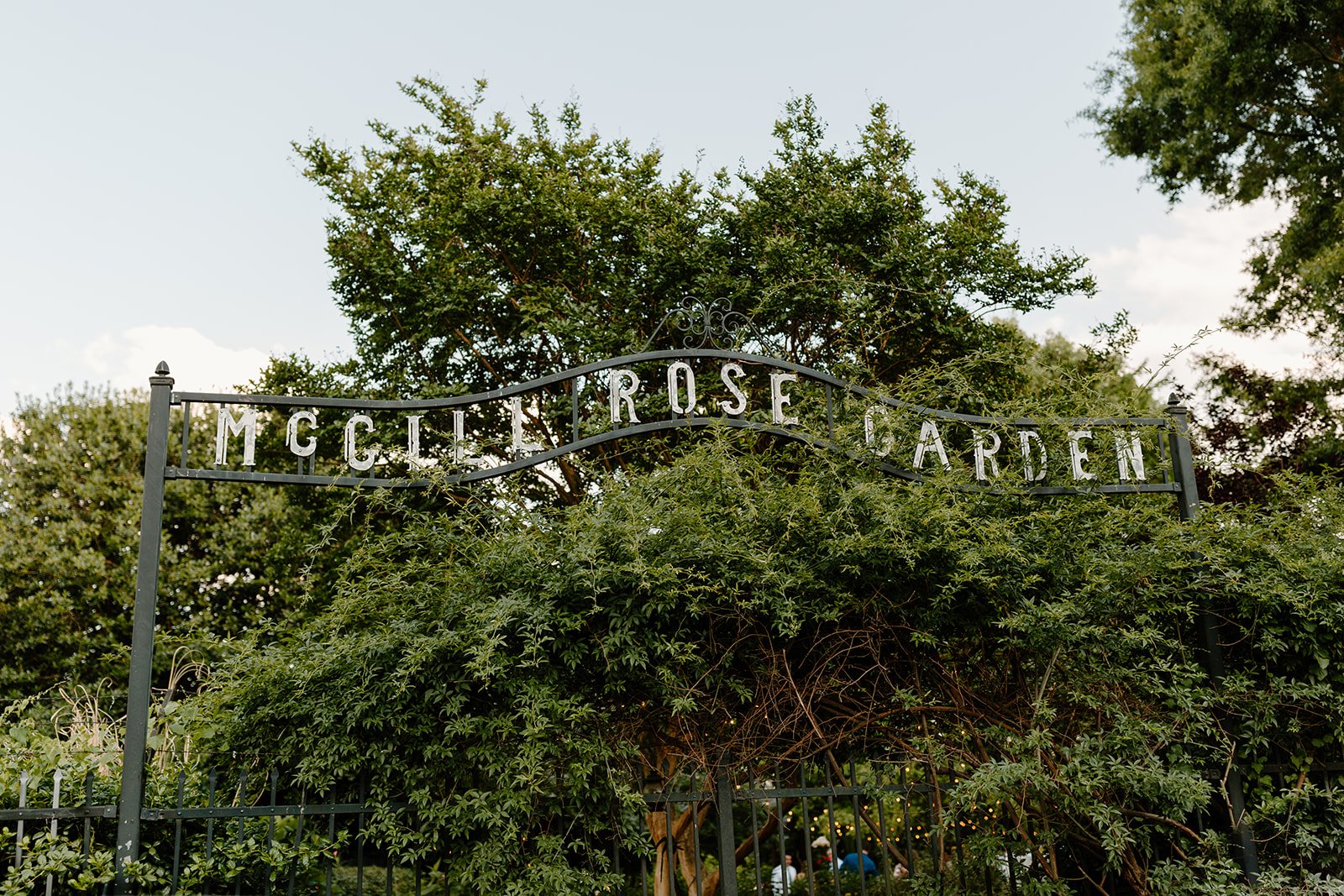 McGill Rose Garden - Top 20 FREE Things to do in Charlotte North Carolina 