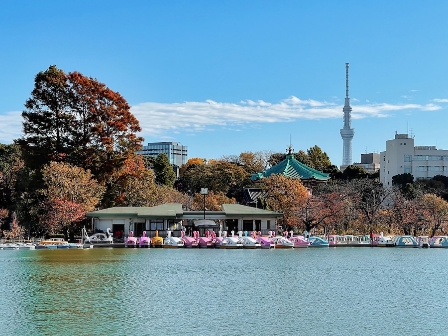 Things to Do in Tokyo on a Short Layover